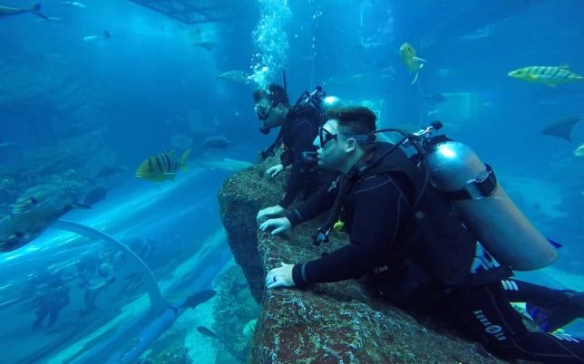 under water diving dubai